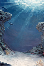 Classic Canvas Backdrops